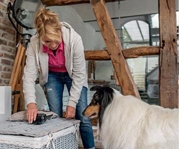 Иллюстрация к книге — Идеальная собака не выгуливает хозяина. Как воспитать собаку без вредных привычек [i_056.jpg]