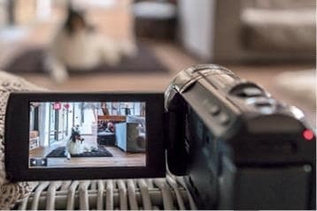 Иллюстрация к книге — Идеальная собака не выгуливает хозяина. Как воспитать собаку без вредных привычек [i_057.jpg]