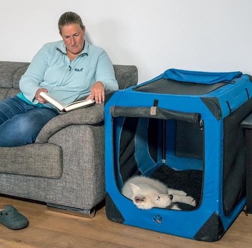 Иллюстрация к книге — Идеальная собака не выгуливает хозяина. Как воспитать собаку без вредных привычек [i_058.jpg]