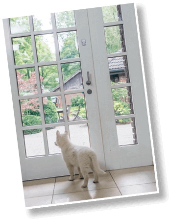 Иллюстрация к книге — Идеальная собака не выгуливает хозяина. Как воспитать собаку без вредных привычек [i_060.jpg]