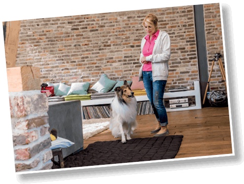 Иллюстрация к книге — Идеальная собака не выгуливает хозяина. Как воспитать собаку без вредных привычек [i_067.jpg]