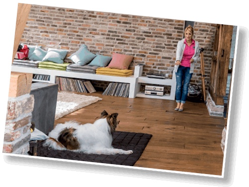 Иллюстрация к книге — Идеальная собака не выгуливает хозяина. Как воспитать собаку без вредных привычек [i_069.jpg]