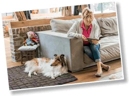 Иллюстрация к книге — Идеальная собака не выгуливает хозяина. Как воспитать собаку без вредных привычек [i_071.jpg]