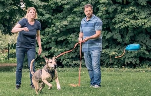 Иллюстрация к книге — Идеальная собака не выгуливает хозяина. Как воспитать собаку без вредных привычек [i_072.jpg]