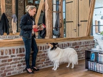 Иллюстрация к книге — Идеальная собака не выгуливает хозяина. Как воспитать собаку без вредных привычек [i_073.jpg]