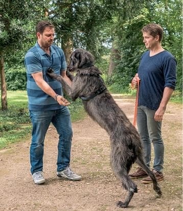 Иллюстрация к книге — Идеальная собака не выгуливает хозяина. Как воспитать собаку без вредных привычек [i_080.jpg]