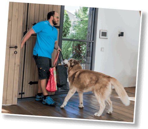 Иллюстрация к книге — Идеальная собака не выгуливает хозяина. Как воспитать собаку без вредных привычек [i_082.jpg]