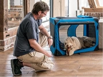 Иллюстрация к книге — Идеальная собака не выгуливает хозяина. Как воспитать собаку без вредных привычек [i_091.jpg]