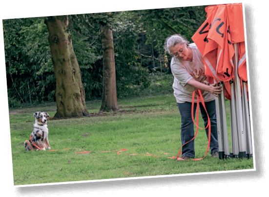 Иллюстрация к книге — Идеальная собака не выгуливает хозяина. Как воспитать собаку без вредных привычек [i_095.jpg]