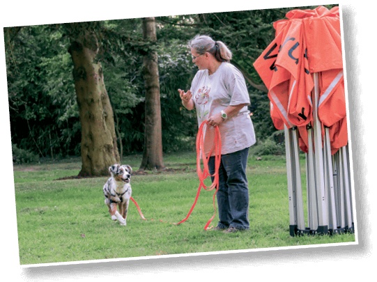 Иллюстрация к книге — Идеальная собака не выгуливает хозяина. Как воспитать собаку без вредных привычек [i_096.jpg]