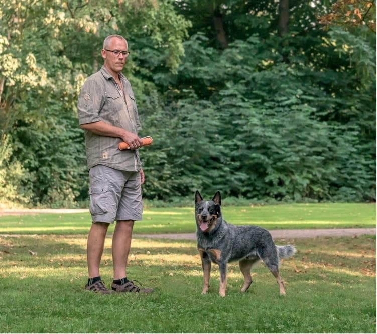 Иллюстрация к книге — Идеальная собака не выгуливает хозяина. Как воспитать собаку без вредных привычек [i_098.jpg]