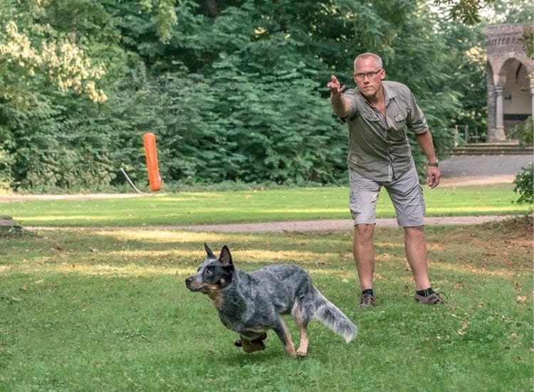 Иллюстрация к книге — Идеальная собака не выгуливает хозяина. Как воспитать собаку без вредных привычек [i_099.jpg]