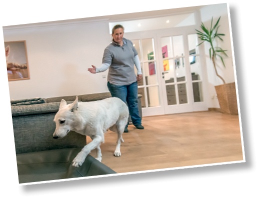 Иллюстрация к книге — Идеальная собака не выгуливает хозяина. Как воспитать собаку без вредных привычек [i_101.jpg]