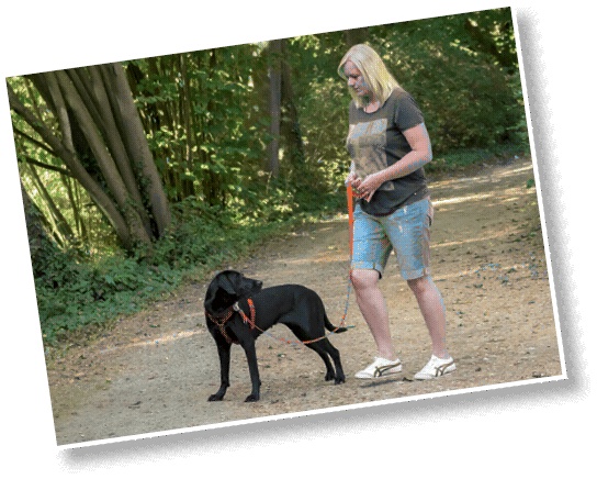 Иллюстрация к книге — Идеальная собака не выгуливает хозяина. Как воспитать собаку без вредных привычек [i_111.jpg]