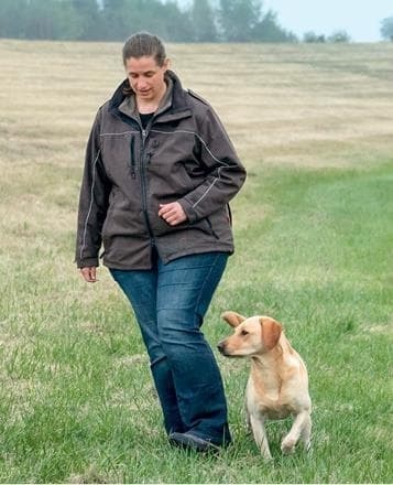 Иллюстрация к книге — Идеальная собака не выгуливает хозяина. Как воспитать собаку без вредных привычек [i_112.jpg]