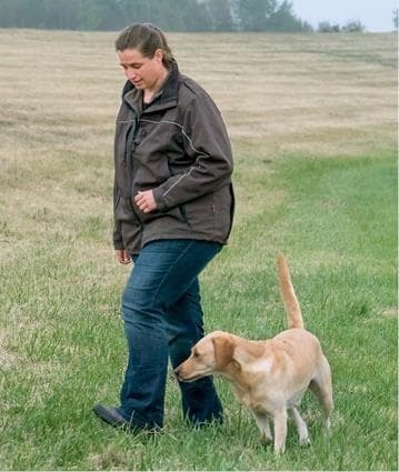 Иллюстрация к книге — Идеальная собака не выгуливает хозяина. Как воспитать собаку без вредных привычек [i_113.jpg]