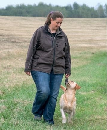 Иллюстрация к книге — Идеальная собака не выгуливает хозяина. Как воспитать собаку без вредных привычек [i_114.jpg]