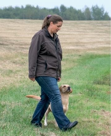 Иллюстрация к книге — Идеальная собака не выгуливает хозяина. Как воспитать собаку без вредных привычек [i_115.jpg]