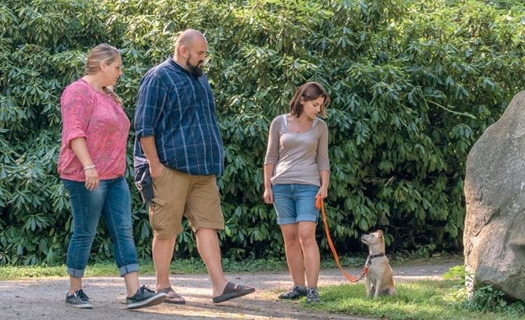 Иллюстрация к книге — Идеальная собака не выгуливает хозяина. Как воспитать собаку без вредных привычек [i_120.jpg]