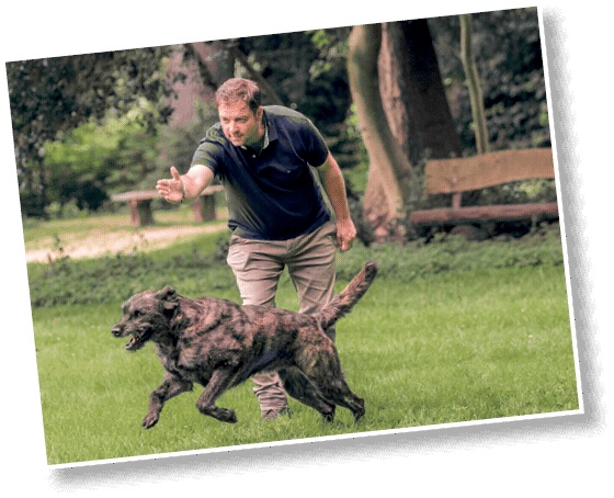 Иллюстрация к книге — Идеальная собака не выгуливает хозяина. Как воспитать собаку без вредных привычек [i_125.jpg]