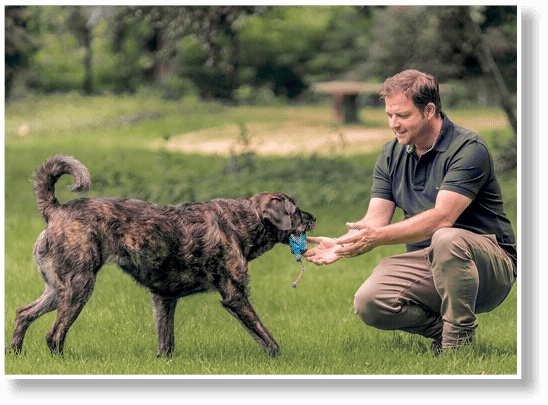 Иллюстрация к книге — Идеальная собака не выгуливает хозяина. Как воспитать собаку без вредных привычек [i_126.jpg]
