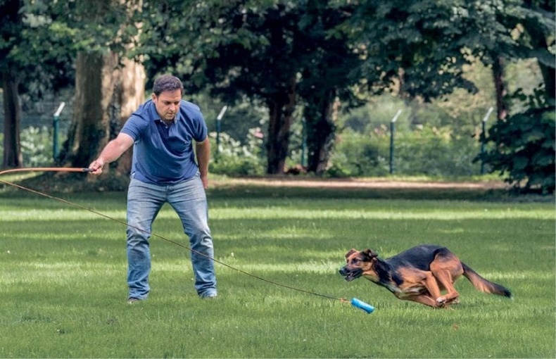 Иллюстрация к книге — Идеальная собака не выгуливает хозяина. Как воспитать собаку без вредных привычек [i_130.jpg]