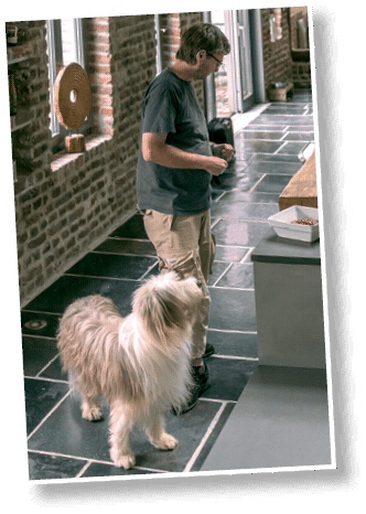 Иллюстрация к книге — Идеальная собака не выгуливает хозяина. Как воспитать собаку без вредных привычек [i_144.jpg]