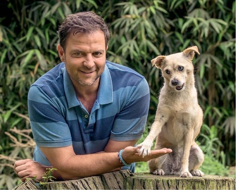 Иллюстрация к книге — Идеальная собака не выгуливает хозяина. Как воспитать собаку без вредных привычек [i_156.jpg]