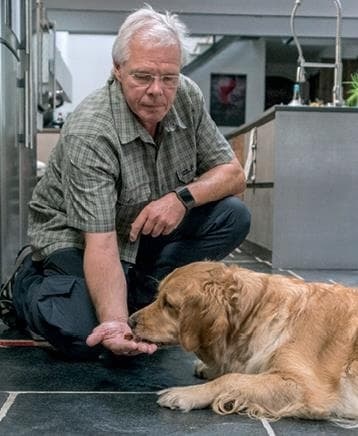 Иллюстрация к книге — Идеальная собака не выгуливает хозяина. Как воспитать собаку без вредных привычек [i_161.jpg]