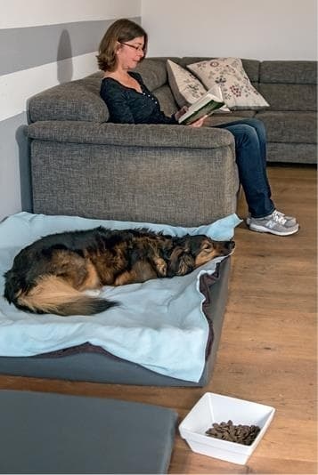 Иллюстрация к книге — Идеальная собака не выгуливает хозяина. Как воспитать собаку без вредных привычек [i_170.jpg]