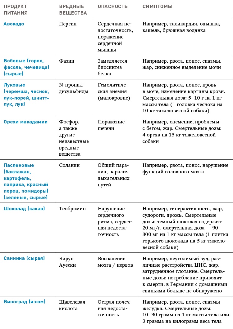 Иллюстрация к книге — Идеальная собака не выгуливает хозяина. Как воспитать собаку без вредных привычек [i_179.jpg]
