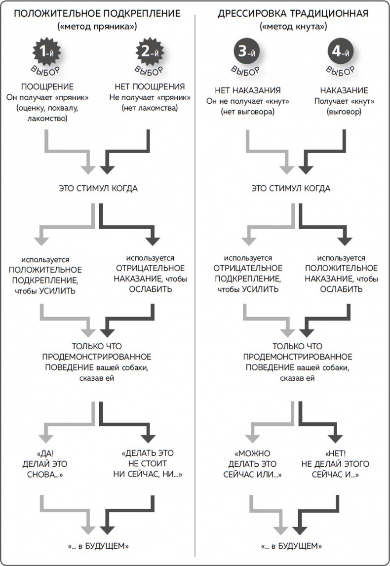 Иллюстрация к книге — Дрессировка без наказания. Пять недель, которые сделают вашу собаку лучшей в мире [i_005.jpg]