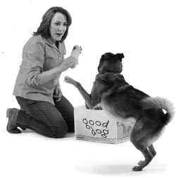 Иллюстрация к книге — Дрессировка без наказания. Пять недель, которые сделают вашу собаку лучшей в мире [i_008.jpg]