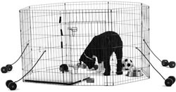 Иллюстрация к книге — Дрессировка без наказания. Пять недель, которые сделают вашу собаку лучшей в мире [i_014.jpg]