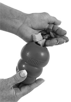 Иллюстрация к книге — Дрессировка без наказания. Пять недель, которые сделают вашу собаку лучшей в мире [i_016.jpg]