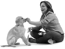 Иллюстрация к книге — Дрессировка без наказания. Пять недель, которые сделают вашу собаку лучшей в мире [i_023.jpg]