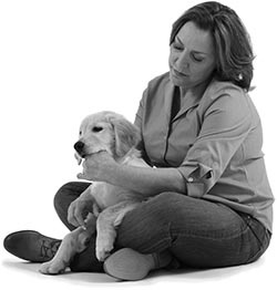 Иллюстрация к книге — Дрессировка без наказания. Пять недель, которые сделают вашу собаку лучшей в мире [i_030.jpg]