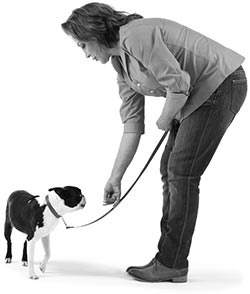 Иллюстрация к книге — Дрессировка без наказания. Пять недель, которые сделают вашу собаку лучшей в мире [i_033.jpg]