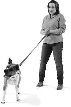 Иллюстрация к книге — Дрессировка без наказания. Пять недель, которые сделают вашу собаку лучшей в мире [i_037.jpg]