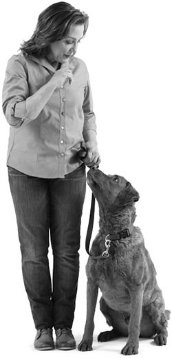 Иллюстрация к книге — Дрессировка без наказания. Пять недель, которые сделают вашу собаку лучшей в мире [i_046.jpg]