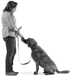 Иллюстрация к книге — Дрессировка без наказания. Пять недель, которые сделают вашу собаку лучшей в мире [i_052.jpg]