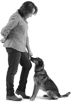 Иллюстрация к книге — Дрессировка без наказания. Пять недель, которые сделают вашу собаку лучшей в мире [i_053.jpg]