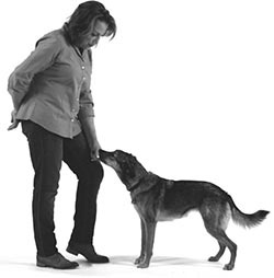 Иллюстрация к книге — Дрессировка без наказания. Пять недель, которые сделают вашу собаку лучшей в мире [i_054.jpg]