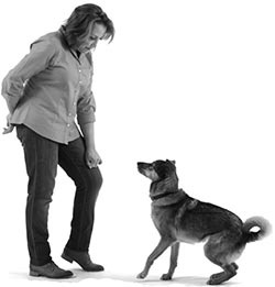 Иллюстрация к книге — Дрессировка без наказания. Пять недель, которые сделают вашу собаку лучшей в мире [i_055.jpg]