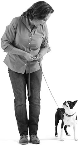 Иллюстрация к книге — Дрессировка без наказания. Пять недель, которые сделают вашу собаку лучшей в мире [i_056.jpg]