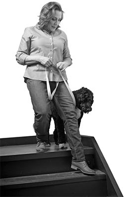 Иллюстрация к книге — Дрессировка без наказания. Пять недель, которые сделают вашу собаку лучшей в мире [i_067.jpg]