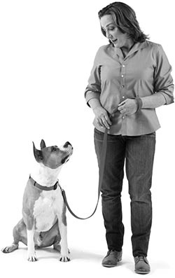 Иллюстрация к книге — Дрессировка без наказания. Пять недель, которые сделают вашу собаку лучшей в мире [i_073.jpg]