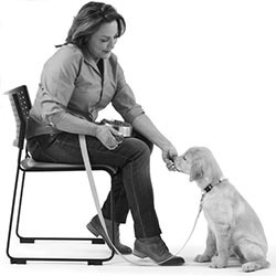 Иллюстрация к книге — Дрессировка без наказания. Пять недель, которые сделают вашу собаку лучшей в мире [i_084.jpg]