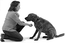 Иллюстрация к книге — Дрессировка без наказания. Пять недель, которые сделают вашу собаку лучшей в мире [i_085.jpg]