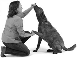 Иллюстрация к книге — Дрессировка без наказания. Пять недель, которые сделают вашу собаку лучшей в мире [i_087.jpg]